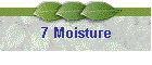 7 Moisture