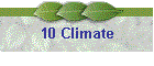 10 Climate