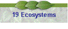 19 Ecosystems