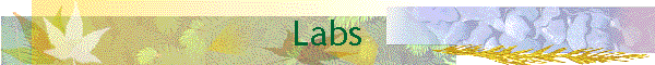 Labs