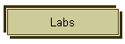 Labs