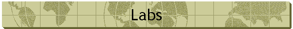 Labs